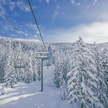 Appartamento 2p à 80m Des Pistes Et Commerces, Balcon, Casier à Skis. - Fr-1-398-569 *